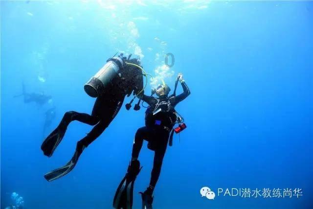 逃离泰莱森林